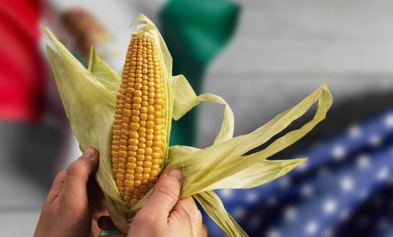 Estados Unidos pide panel arbitral a México sobre maíz transgénico