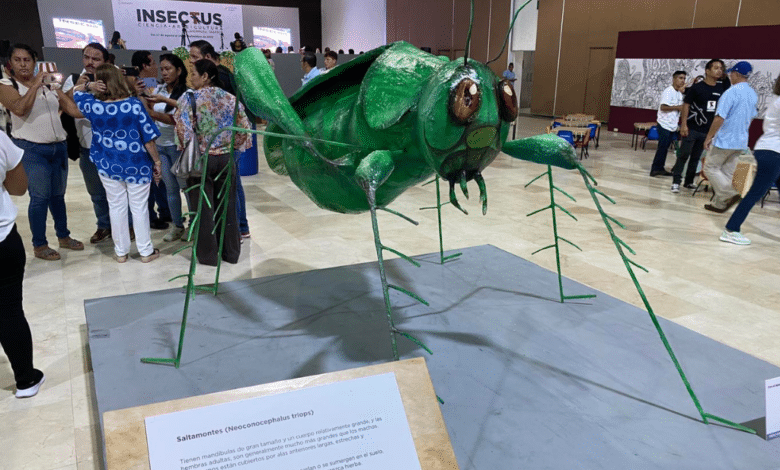 Insectus en Tabasco: ¿Hasta cuándo estará disponible la exposición ...