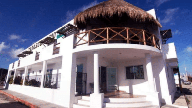 Zona Luz registra un 50% de ocupación hotelera