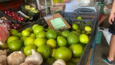 Precio del limón Tabasco.