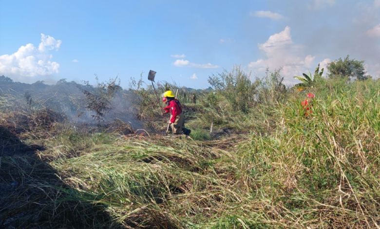 Temperaturas extremas provocan incendios en pastizales de Tabasco