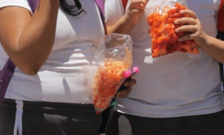 Venta de comida chatarra Tabasco.