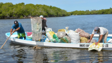 Apoya PEMEX al sector ostrícola de Paraíso para riego de concha seca en la Laguna de Mecoacán