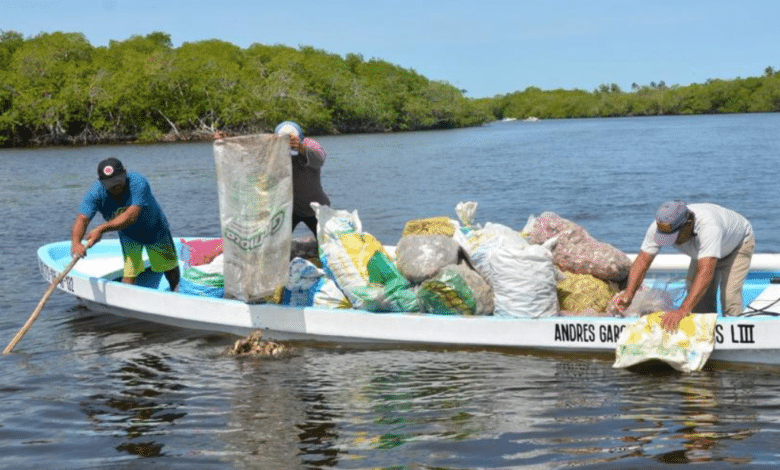 Apoya PEMEX al sector ostrícola de Paraíso para riego de concha seca en la Laguna de Mecoacán