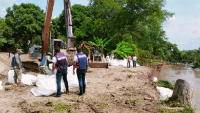Conagua instala megacostales ante erosión en río La Sierra