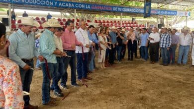 Orgullo apoyar a la ganadería de Tabasco, una de las mejores del país_ CMMC