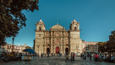 México recibe más de 16 millones de turistas internacionales vía aérea