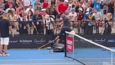 Víbora sorprende e interrumpe partido del ATP 250 de Brisbane 