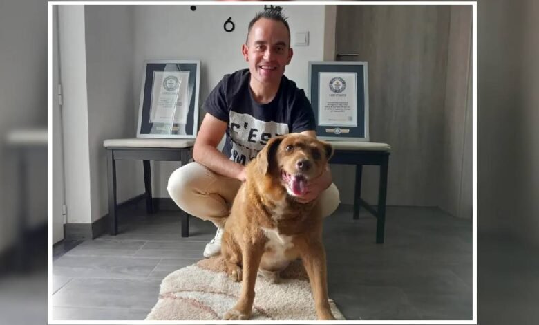 Bobi el perro más longevo del mundo pierde su Récord Guinness por controversia