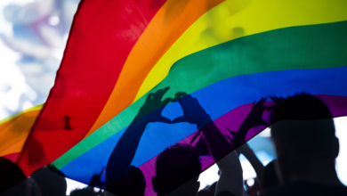 Colectivos LGBT inconformes por no obligar a partidos que les permitan participación política