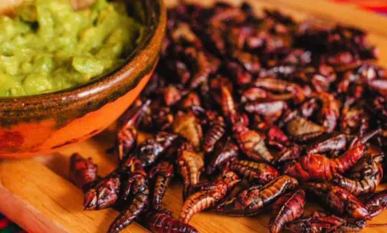 Explorando la tradición y sabor de los chapulines de Oaxaca