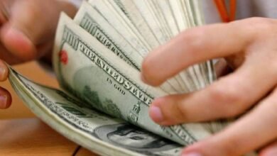 Precio del dólar: moneda abre en 17.04 pesos al mayoreo