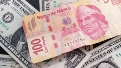 Precio del dólar abre la semana en 16.89 pesos al mayoreo