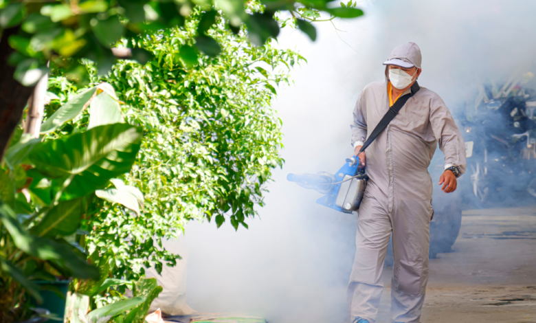Casos de dengue van al alza en Tabasco, reporta la Secretaria de Salud