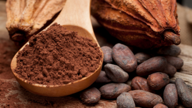 Tabasco gana premio 'Excelencias Gourmet' por impulso a preservar cultura del cacao
