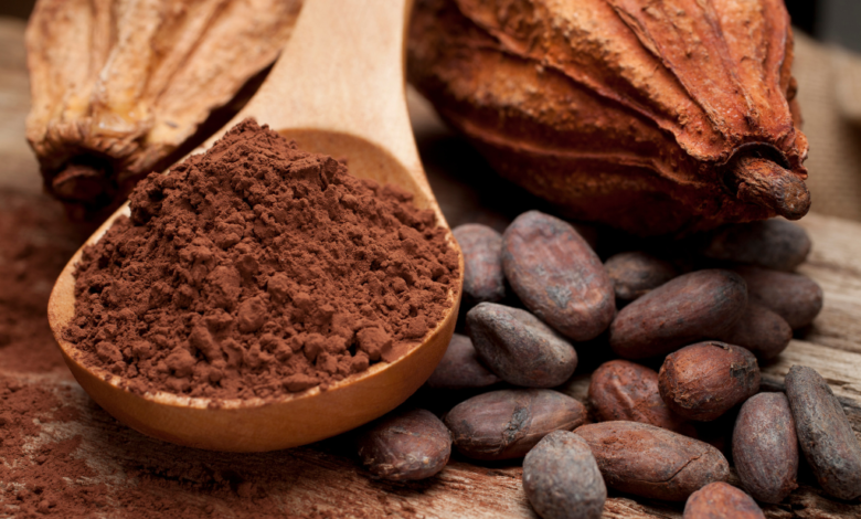 Tabasco gana premio 'Excelencias Gourmet' por impulso a preservar cultura del cacao