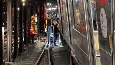 Trenes de Nueva York.
