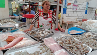 Vendedores de pescados y mariscos se preparan para la Cuaresma