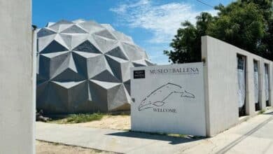 Descubre el Museo de la Ballena en La Paz, Baja California Sur