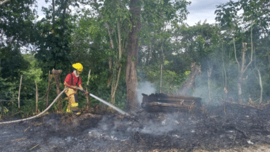 Prevén incremento en incendios de pastizales; se preparan para combatirlos
