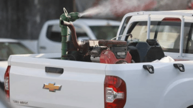 Tabasco cierra enero con más de 500 casos de dengue