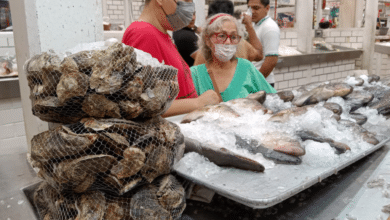 Venta segura de ostión en el Pino Suárez