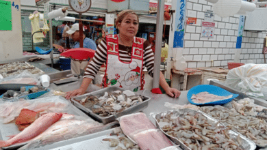 Vigila Profeco a comerciantes de pescados y mariscos