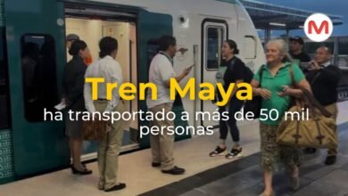 Tren Maya ha transportado a más de 50 mil persoas