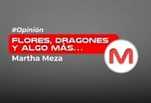Flores, dragones y algo más…