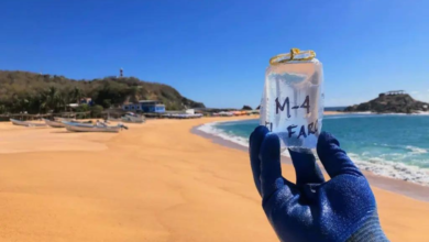 Cofepris alerta por estas playas contaminadas en México