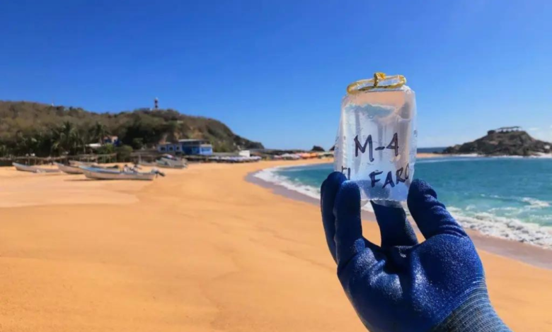 Cofepris alerta por estas playas contaminadas en México