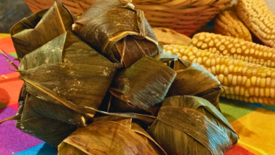 Explorando los sabores ancestrales de los Matlatzincas Tamales de ceniza de encino