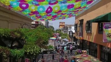 Increíbles andadores turísticos de México que debes visitar