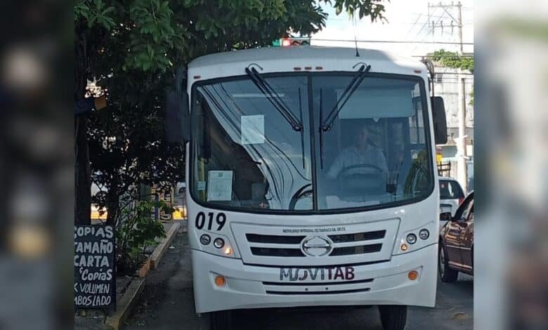 Arboles sin podar invaden vialidades y causan daños al transporte público