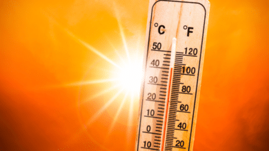 Esperan hasta 45 grados durante 3 días en estos estados