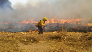 Van 107 incendios forestales este año