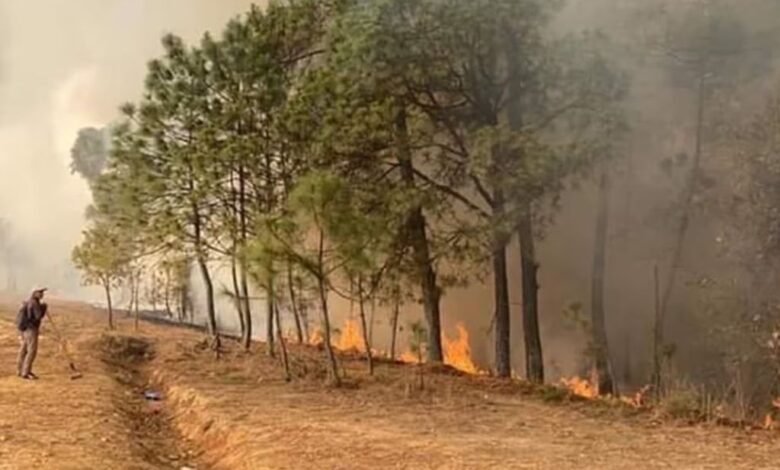Incendio forestal en Oaxaca cumple 100 horas