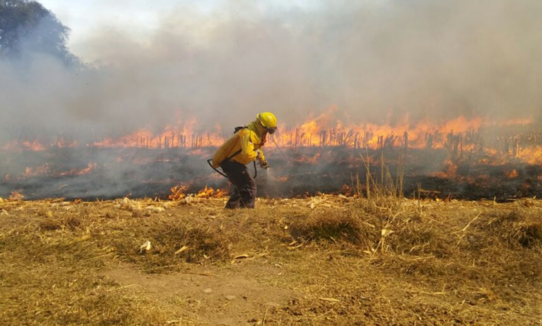 Van 107 incendios forestales este año