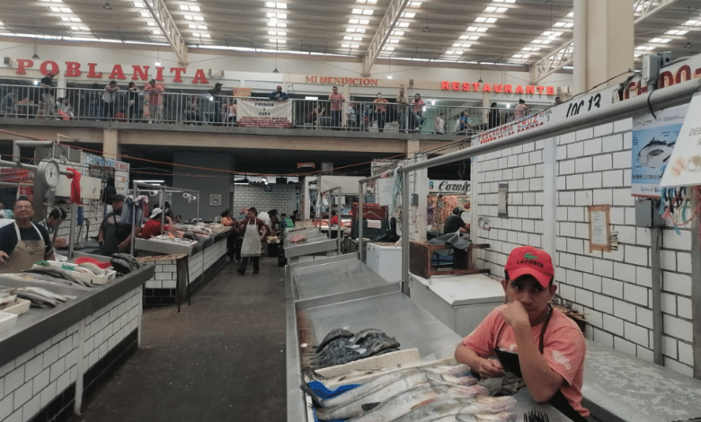 El Mercado Pino Suárez ofrece mejor marisco que supermercados, incluso “mojarras vivas”