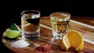 Mezcal para todos los gustos: Descubre sus variedades