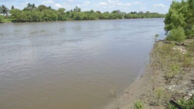 Aunque se adelantó el estiaje, se mantienen normales niveles de los ríos
