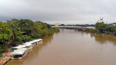 Estiman autoridades que en breve se reactive transporte fluvial para la colonia Gaviotas