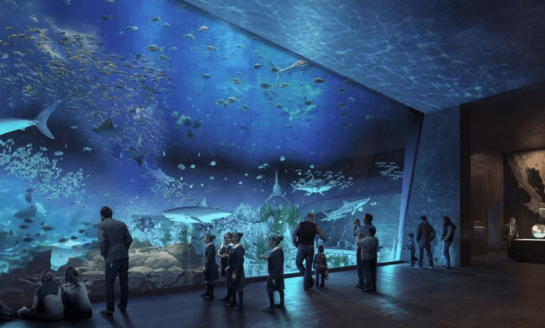Gran Acuario Mazatlán Joya de conservación marina