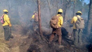 Suman más de mil hectáreas afectados por incendio en "Lechuguillas"