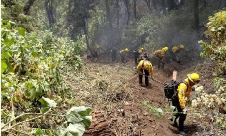 Incendio forestal en el Nevado de Toluca es controlado al 100%