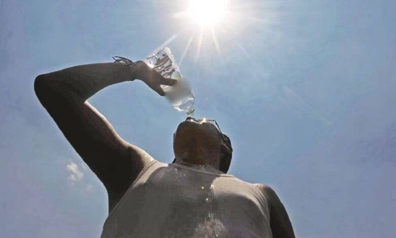 ¿Cómo evitar los golpes de calor? El IPN da estas recomendaciones