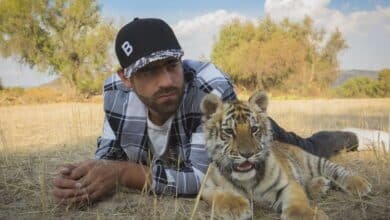 Activista acusa a Arturo Islas de tráfico ilegal de animales