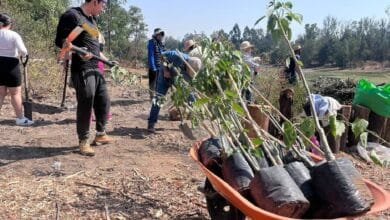 Recuperación del Lago de Guadalupe serviría como vaso regulador