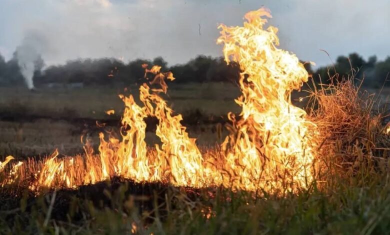 ¡Tabasco en llamas! Van 760 incendios en el primer trimestre de 2024