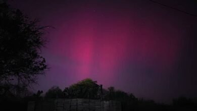 Aurora boreal. ¿Por qué se presenció este fenómeno en México?